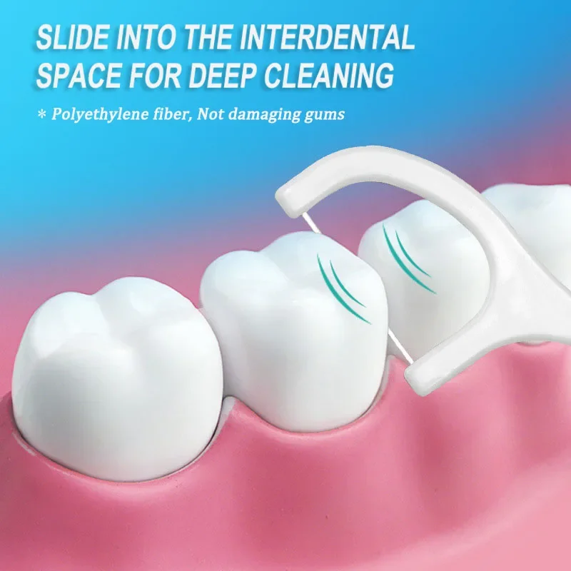 150 Uds. Palillos de hilo Dent - Dental Floss Picks reseña y precio
