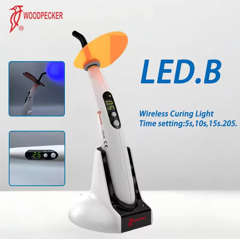 Luz de curado Dental pájaro ca - Teeth Whitening Lamp reseña y precio