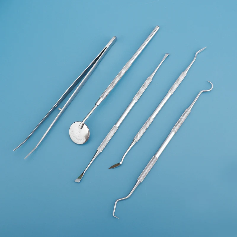 Herramienta Dental, dispositiv - Dental Floss Picks reseña y precio